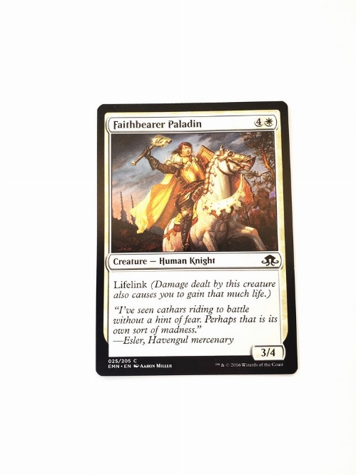 Faithbearer Paladin