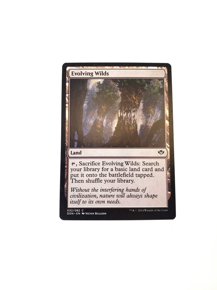 Evolving Wilds