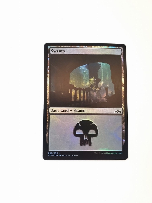 Swamp (262) (Foil)