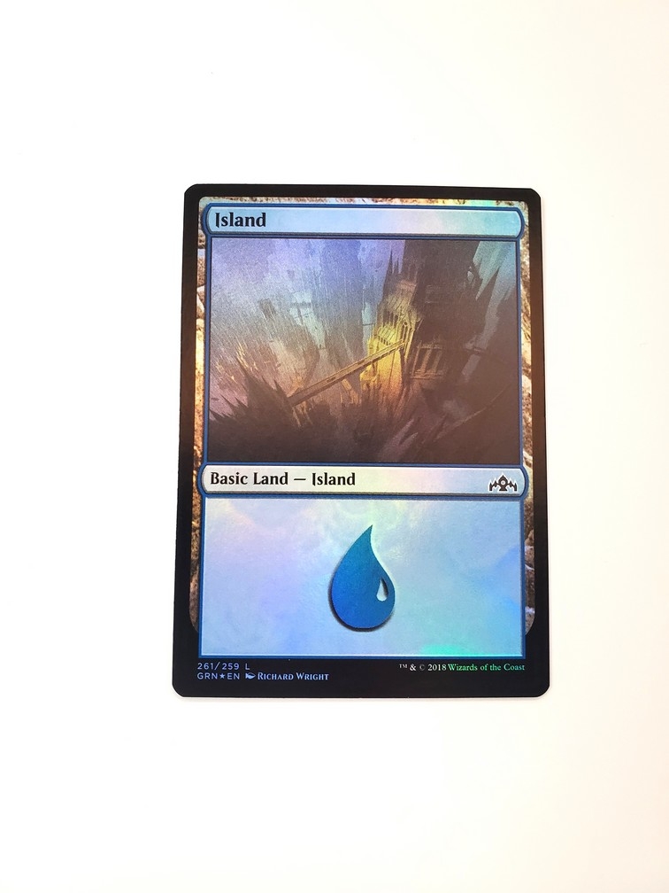 Island (261) (Foil)