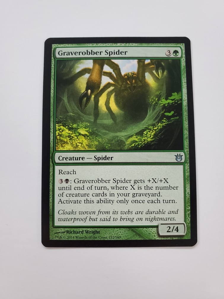 Graverobber Spider