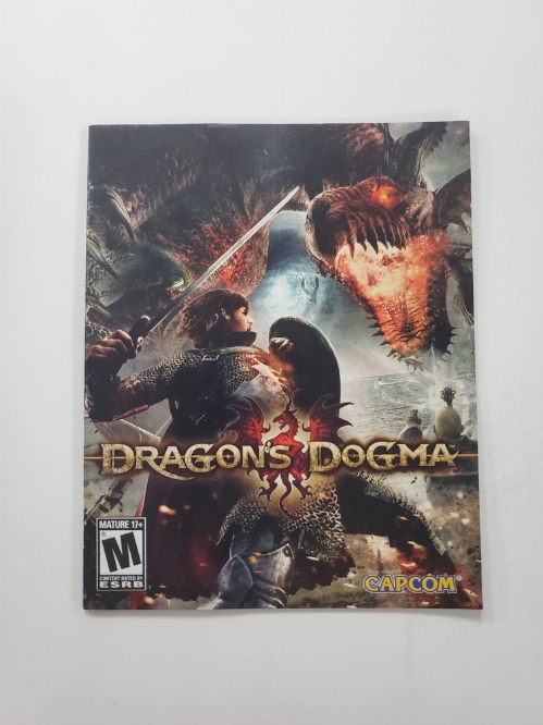 Dragon's Dogma (I)