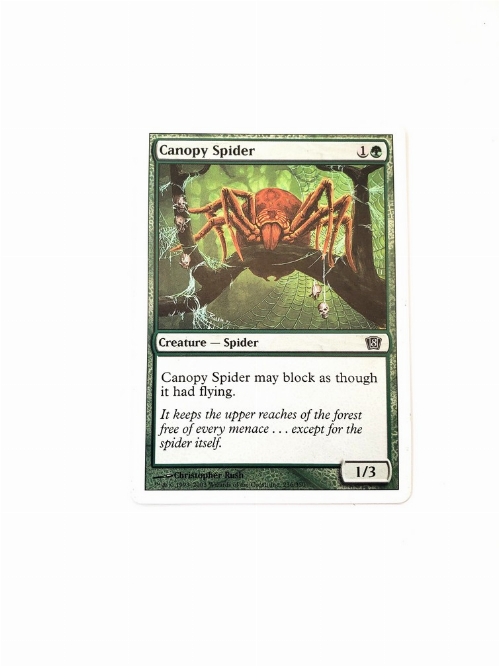 Canopy Spider