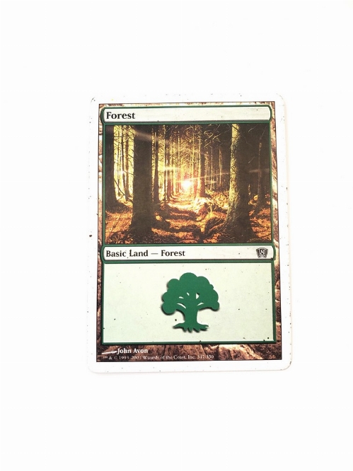 Forest (347)