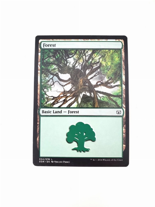 Forest (34)