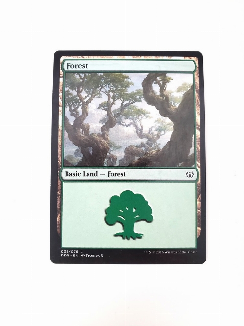 Forest (35)