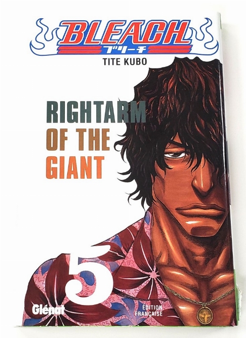 Bleach (Vol.5) (Francais)