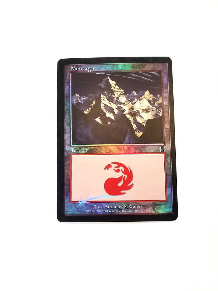 Mountain (343) (Foil) (Francaise)