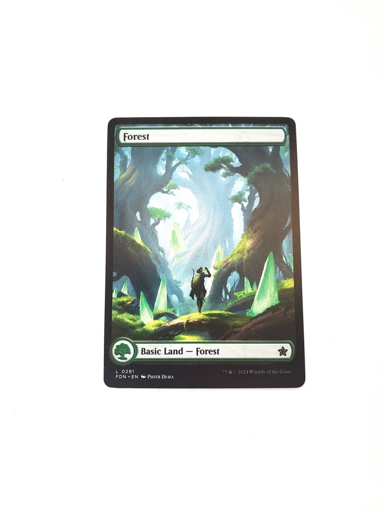 Forest (0291)