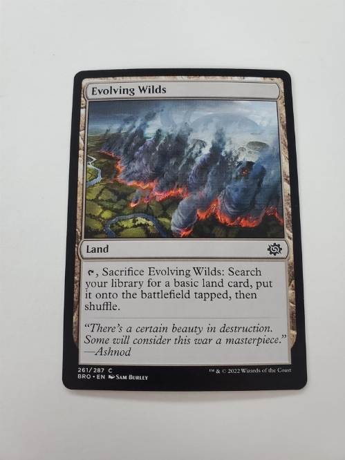 Evolving Wilds
