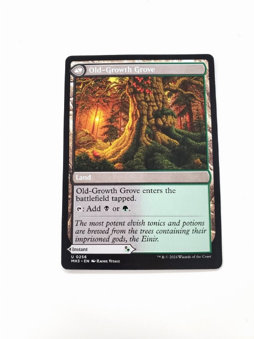 Revitalizing Repast // Old-Growth Grove