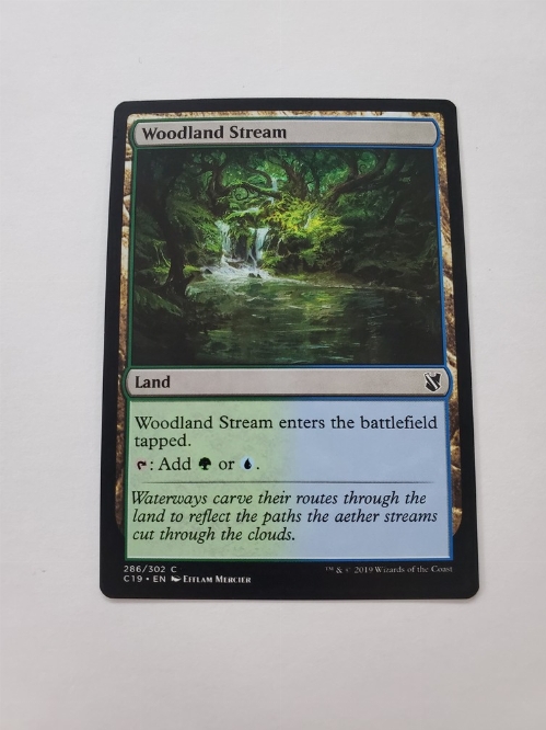 Woodland Stream