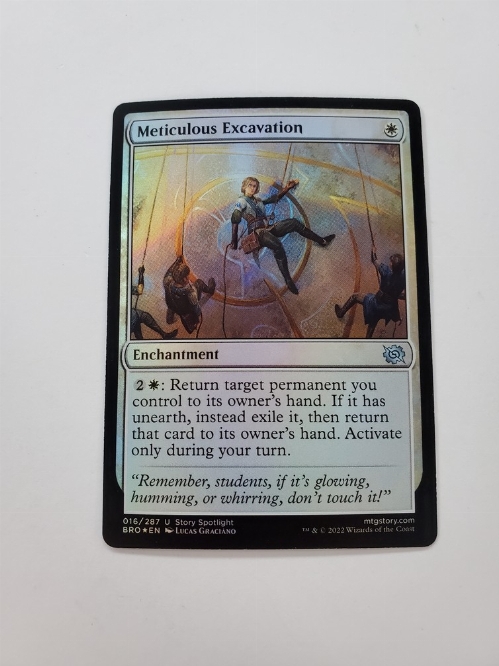 Meticulous Excavation (Foil)