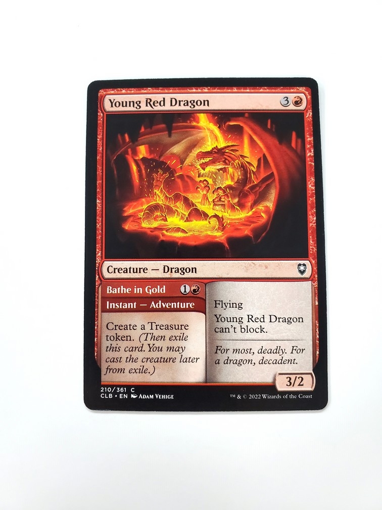 Young Red Dragon // Bathe in Gold