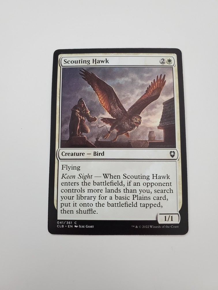 Scouting Hawk