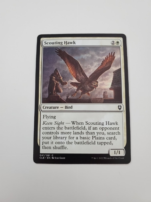 Scouting Hawk