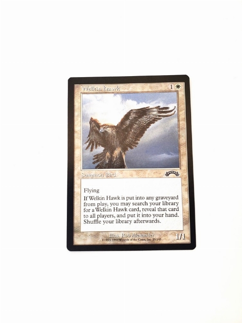 Welkin Hawk