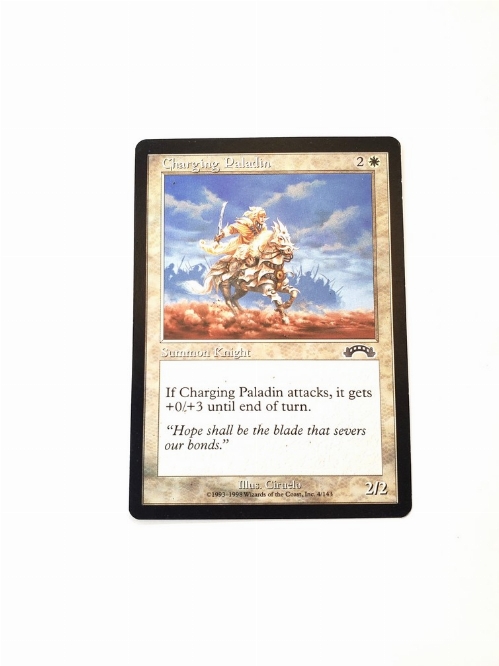 Charging Paladin