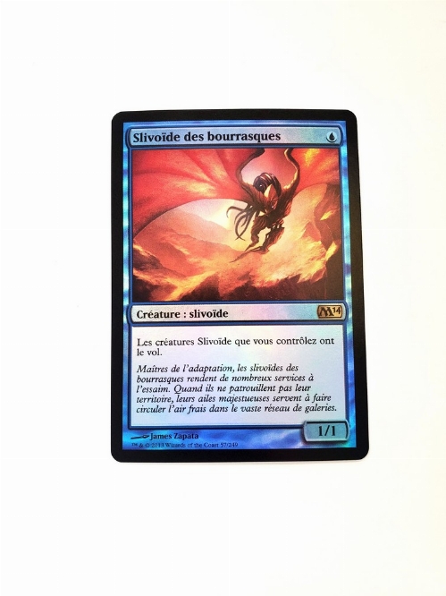 Galerider Sliver (Foil) (Francaise)