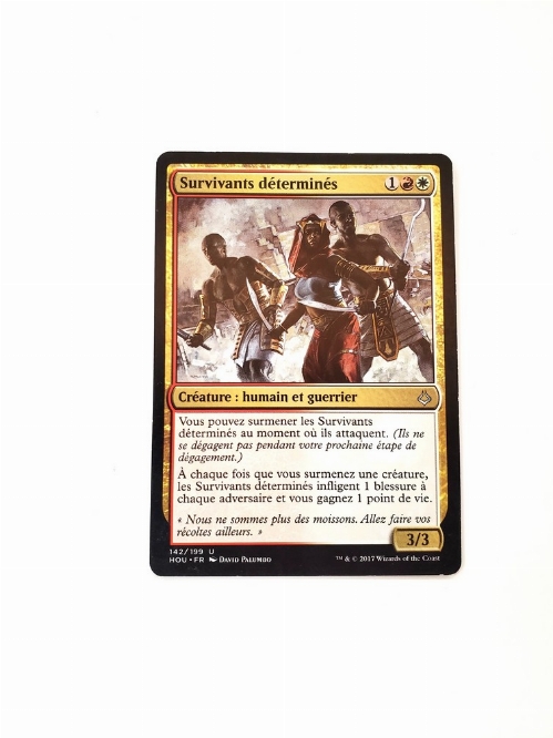 Resolute Survivors (Francaise)