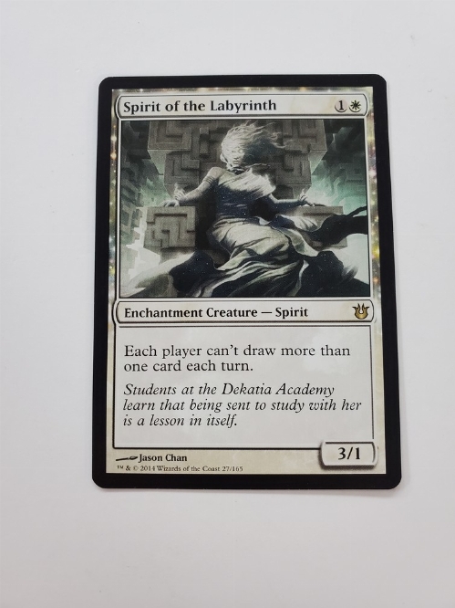 Spirit of the Labyrinth