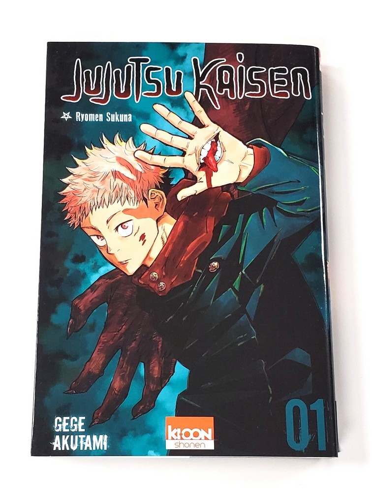Jujutsu Kaisen (Vol.1) (Francais)