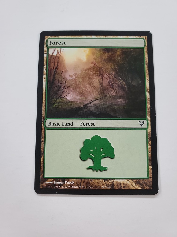 Forest (242)