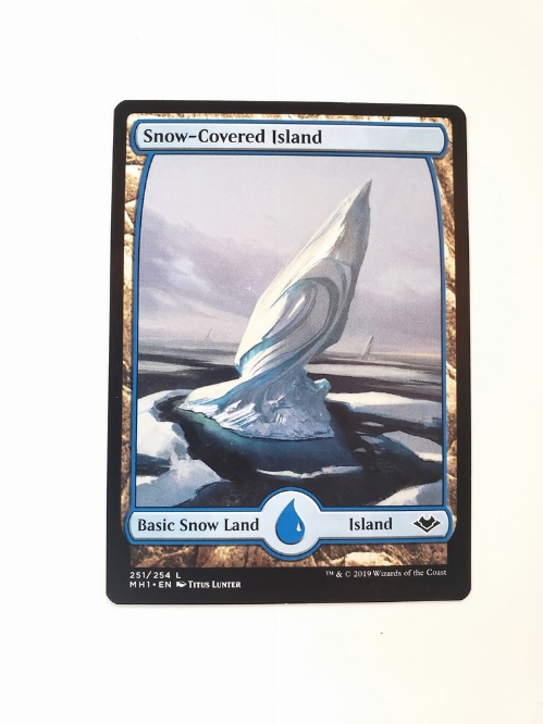 Snow-Covered Island