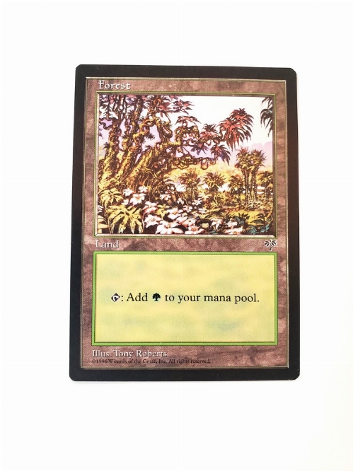 Forest (Red Tree Leaves)