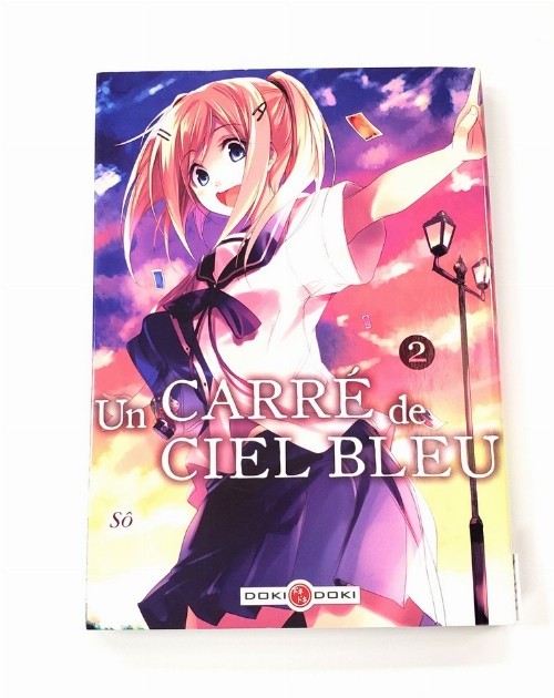 Un Carré de Ciel Bleu (Vol.2) (Francais)