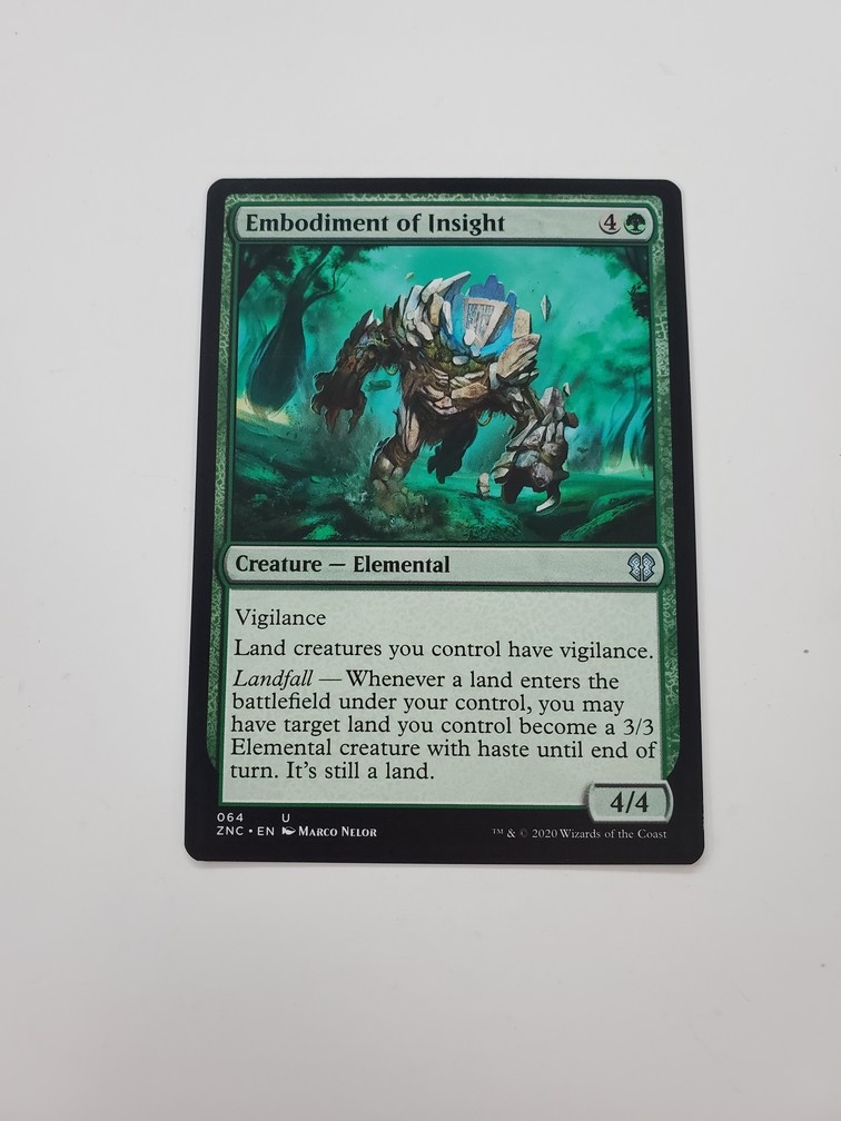 Embodiment of Insight