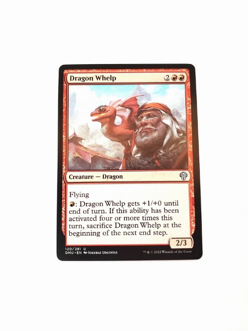 Dragon Whelp