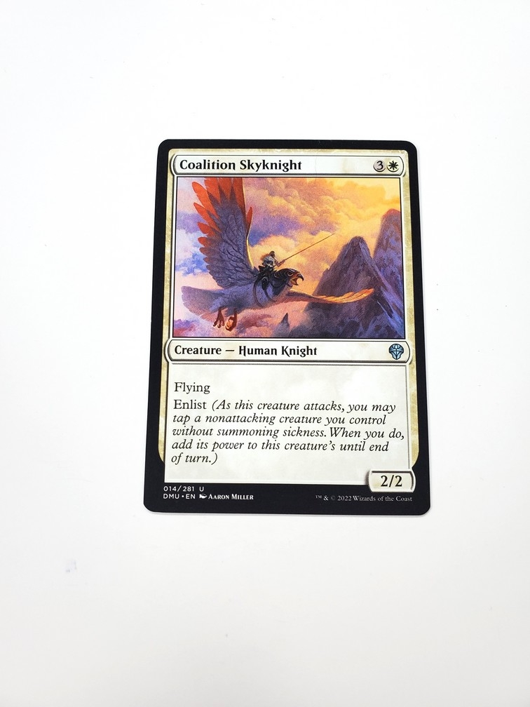 Coalition Skyknight
