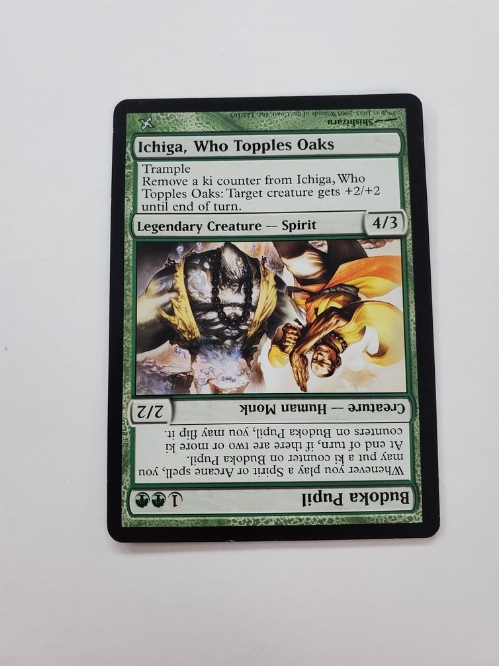 Budoka Pupil // Ichiga, Who Topples Oaks