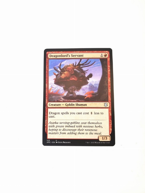 Dragonlord's Servant