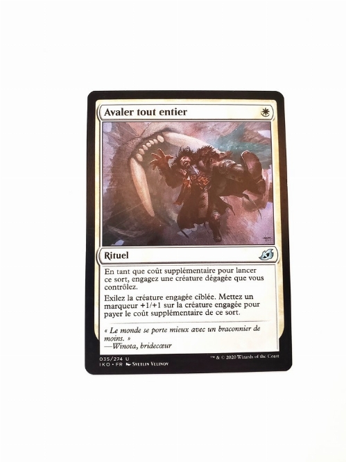 Swallow Whole (Francaise)