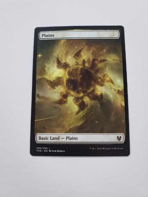 Plains (250/254) (Full Art)