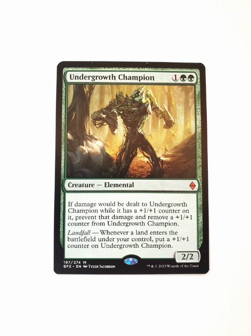 Undergrowth Champion