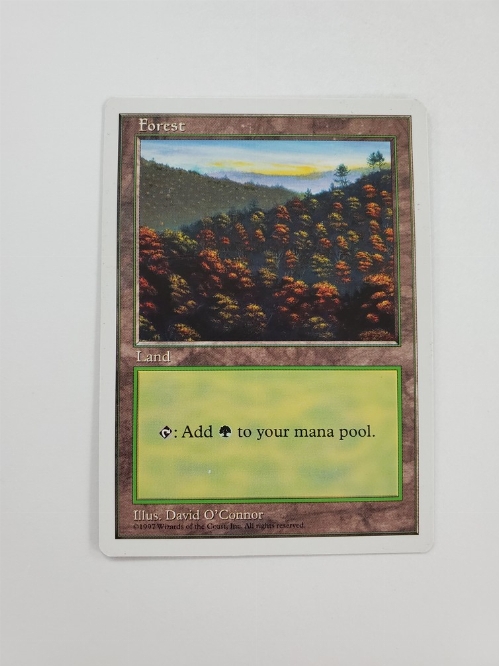 Forest (3)