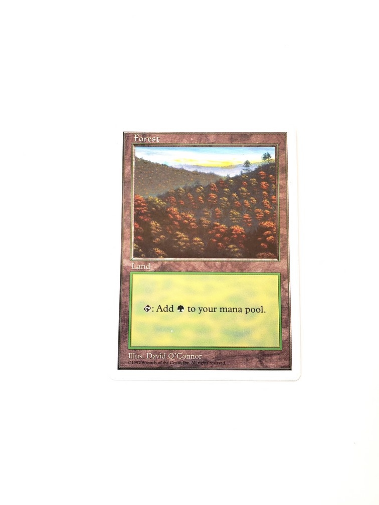 Forest (448)