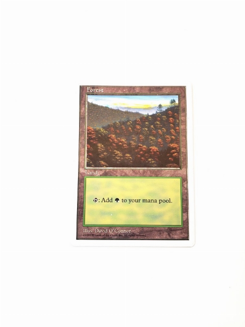 Forest (448)