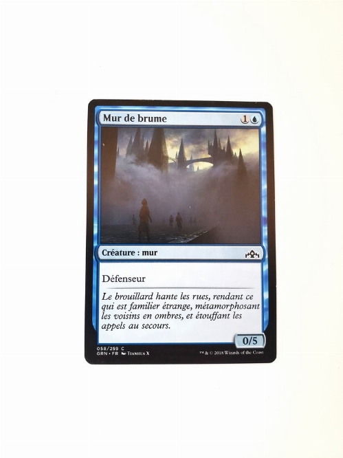 Wall of Mist (Francaise)