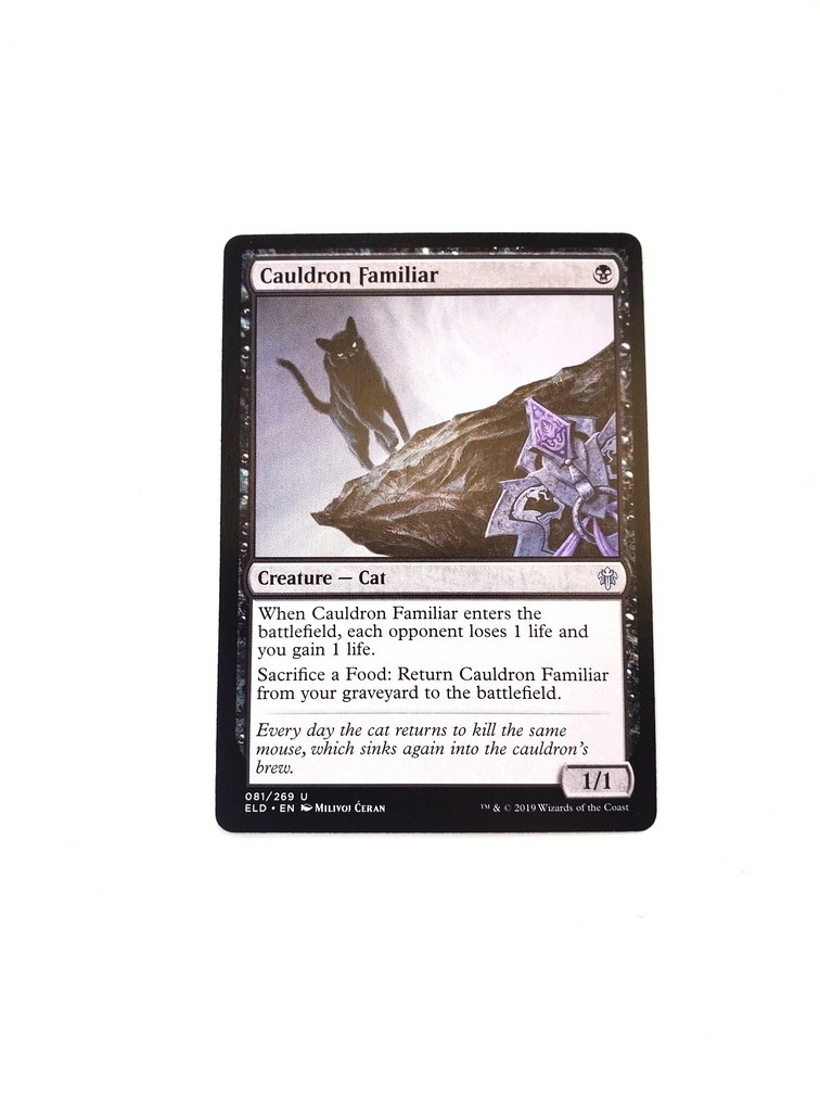 Cauldron Familiar