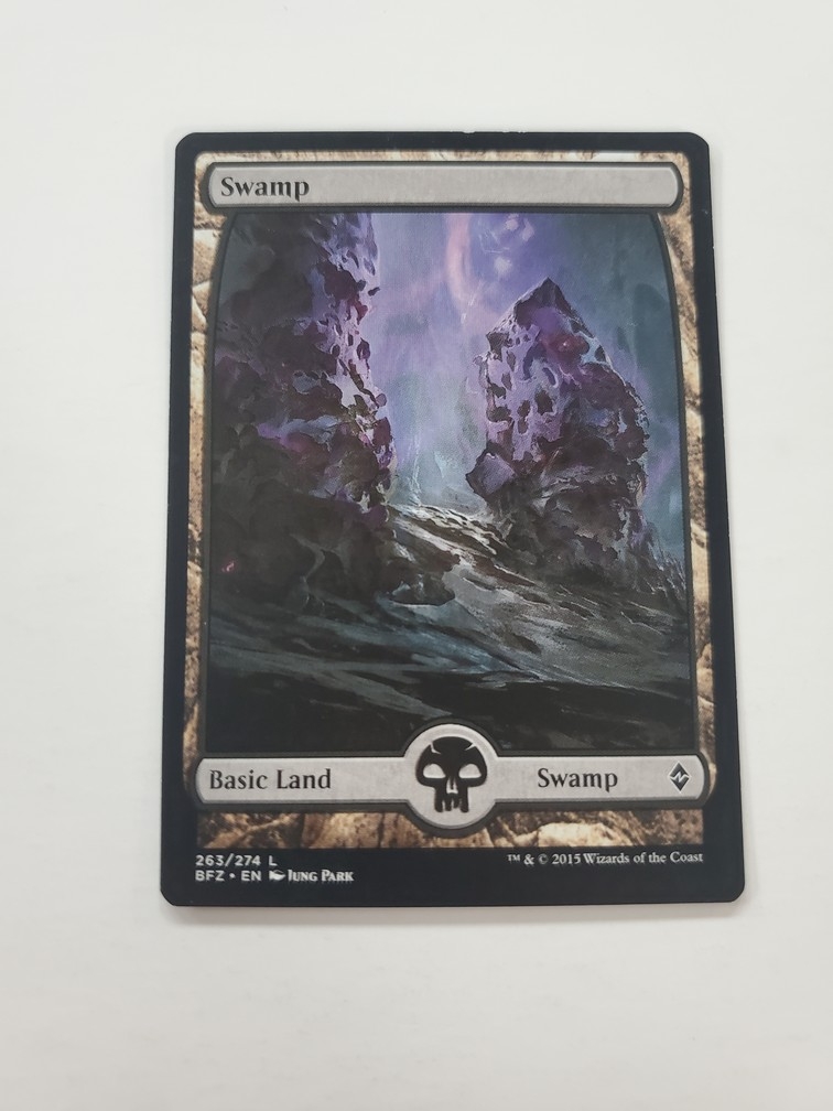 Swamp (263) - Full Art