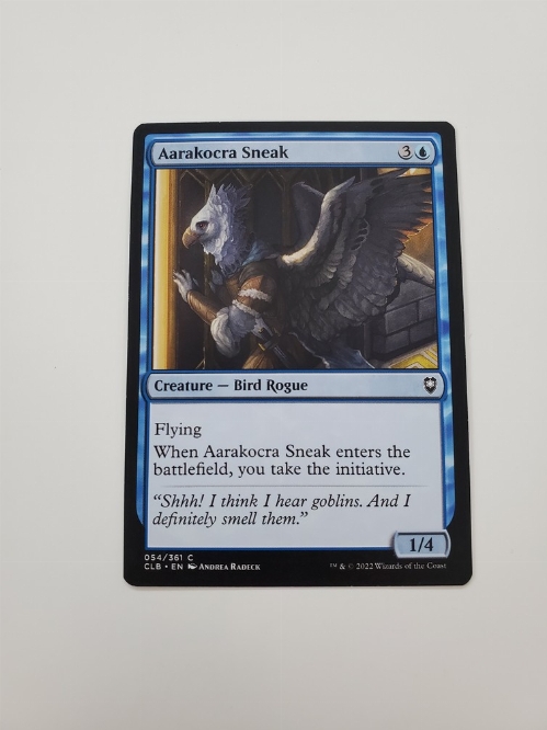 Aarakocra Sneak