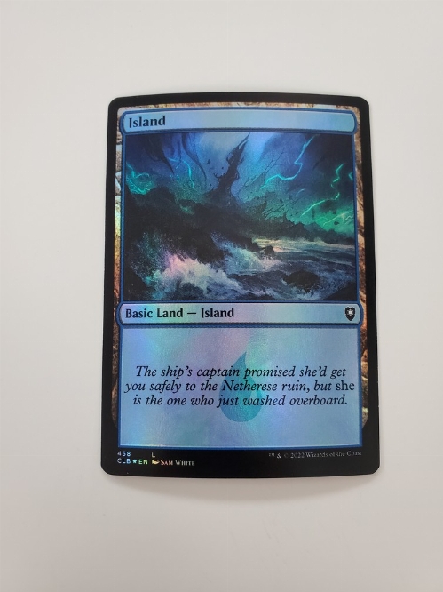Island (458) (Foil)