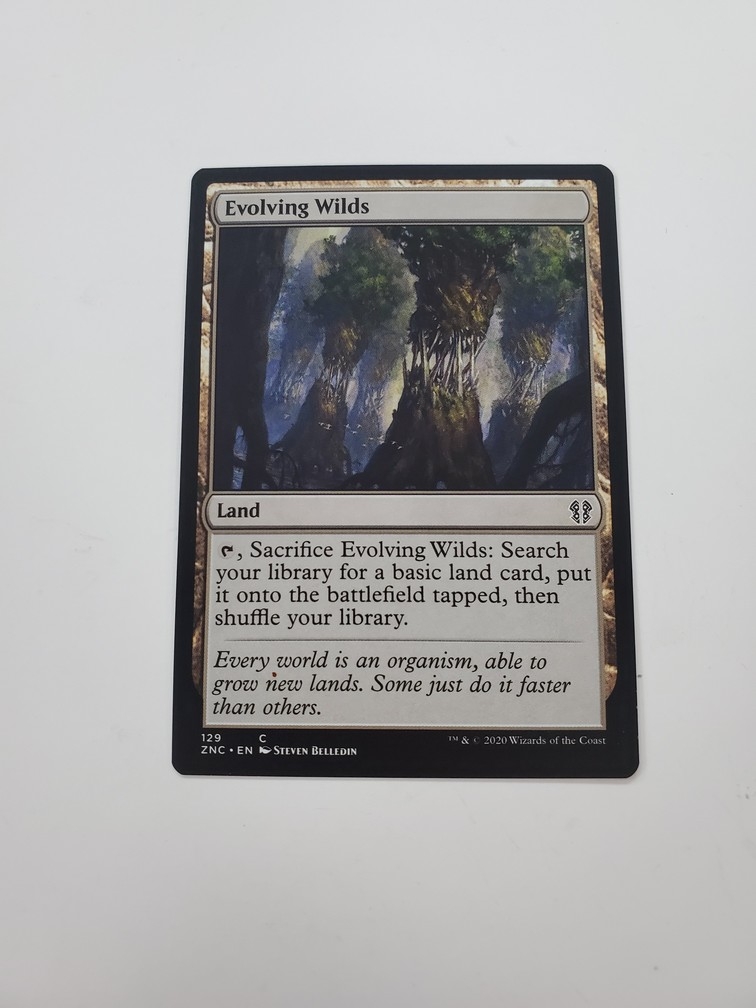Evolving Wilds