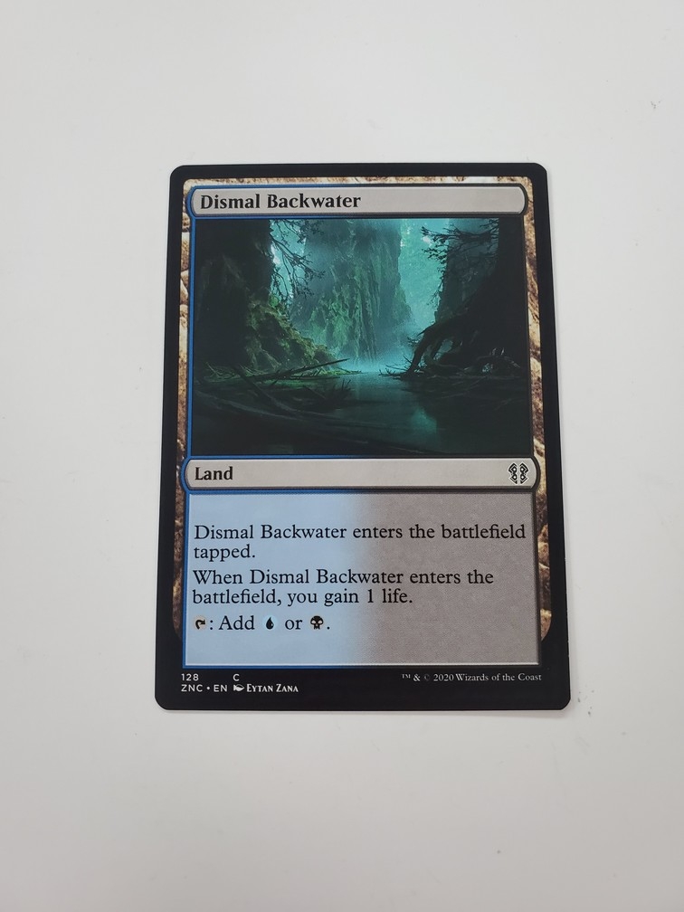 Dismal Backwater