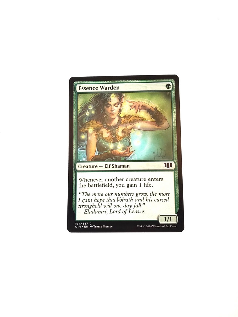 Essence Warden