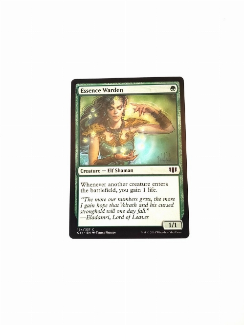 Essence Warden